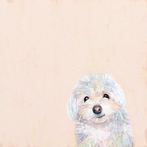 Best Friend - Small White Dog Stretched Canvas Wall Art