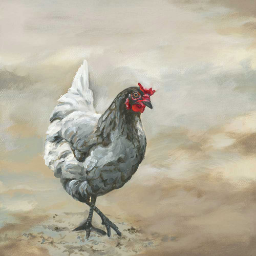 Avian Spotlight - Little Hen Stretched Canvas Wall Art