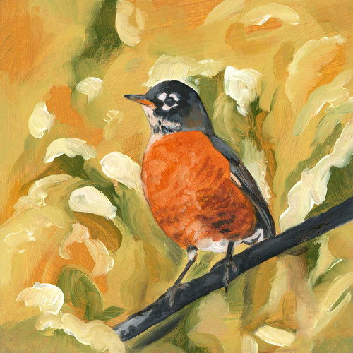 Avian Spotlight - Robin Stretched Canvas Wall Art