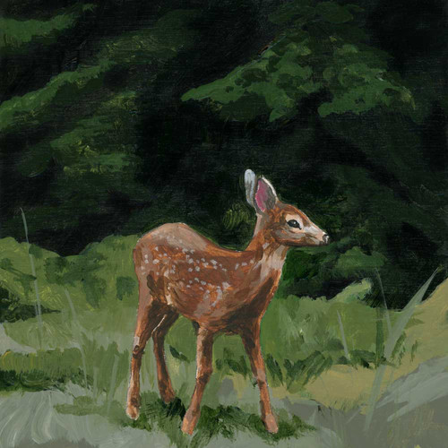 Woodland Life - Fawn Stretched Canvas Wall Art