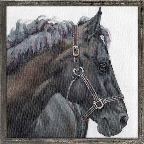 Black Beauty Mini Framed Canvas