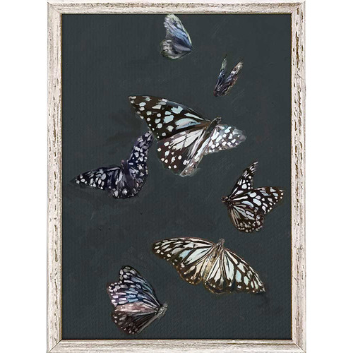 Blue Tiger Butterflies Mini Framed Canvas