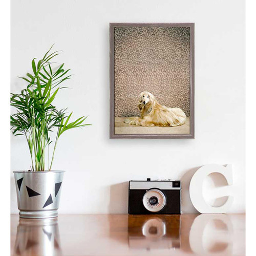 Dog Collection - Afghan Hound Mini Framed Canvas