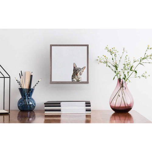 Feline Friends - Evie The Cat Mini Framed Canvas