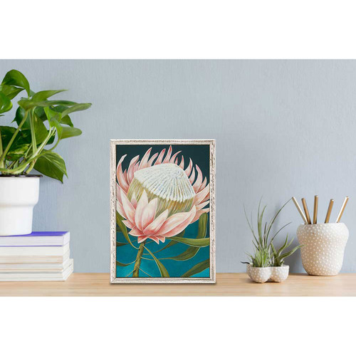 King Protea Mini Framed Canvas