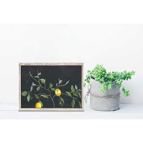 Lemon Branch Mini Framed Canvas