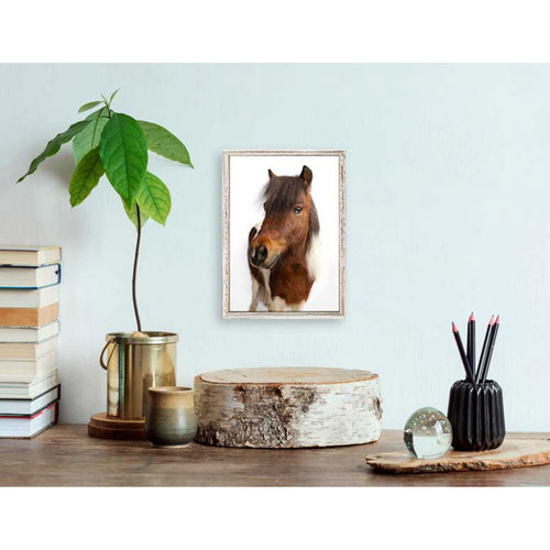 Petite Ponies - Moose Mini Framed Canvas