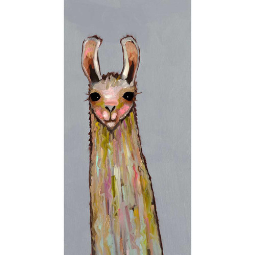 Baby Llama On Gray Stretched Canvas Wall Art