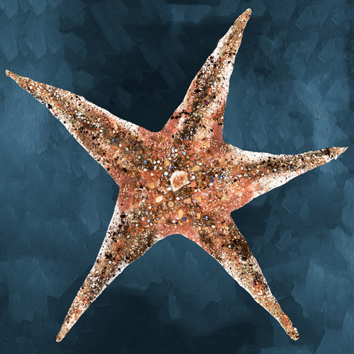 Jeweled Starfish - Deep Blue Stretched Canvas Wall Art