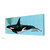 Orca Stretched Canvas Wall Art
