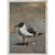 Beach Gull - I Mini Framed Canvas