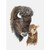 Mom and Baby Bison Stretched Canvas Wall Art