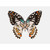 Butterfly Portrait Stretched Canvas Wall Art