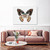 Butterfly Portrait Stretched Canvas Wall Art