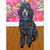 Dog Tales - Margot Stretched Canvas Wall Art