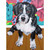 Dog Tales - Boots Stretched Canvas Wall Art