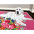 Dog Tales - Huddy Stretched Canvas Wall Art