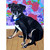 Dog Tales - Sadie Stretched Canvas Wall Art