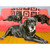 Dog Tales - Tucker and Friends Stretched Canvas Wall Art