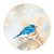 Avian Spotlight - Bluebird In The Snow Stretched Canvas Wall Art