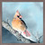 Avian Spotlight - Golden Hour Cardinal Mini Framed Canvas