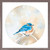Avian Spotlight - Bluebird In The Snow Mini Framed Canvas