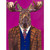 Fancy Fauna - Sir Moose Stretched Canvas Wall Art