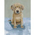 Puppy Stretched Canvas Wall Art