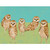 Family Photo Stretched Canvas Wall Art