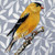 Goldfinch On Blue Stretched Canvas Wall Art