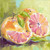 Still Life Grapefruit Stretched Canvas Wall Art
