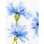 Sara's Hope 2 Stretched Canvas Wall Art