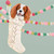 Holiday - Cavalier In Stocking Stretched Canvas Wall Art
