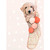Holiday - Golden Doodle Pup In Stocking Stretched Canvas Wall Art