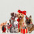 Holiday - Festive Puppy Pack Stretched Canvas Wall Art