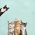 Feline Friends - Three Cats Plus One - Aqua Stretched Canvas Wall Art