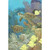 Turtles & Tangs Stretched Canvas Wall Art