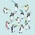 Holiday - 11 Penguins Piping Stretched Canvas Wall Art