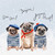Holiday - 3 French Pugs Stretched Canvas Wall Art