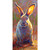 Eyes Of Wisdom Stretched Canvas Wall Art
