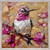 Hummingbird Joy Mini Framed Canvas
