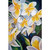 Plumeria Stretched Canvas Wall Art