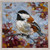 Perched For Peace Mini Framed Canvas