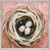 Pink Nest Mini Framed Canvas