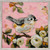 Tufted Titmouse On Pink Mini Framed Canvas