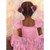 Perfect Ballerina - African American Stretched Canvas Wall Art