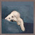 Best Friend - Wheaton Terrier Mini Framed Canvas