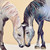 Horse Pair Stretched Canvas Wall Art