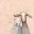 Goat Friends Stretched Canvas Wall Art