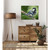 Avian Spotlight - Black Capped Fledge Stretched Canvas Wall Art